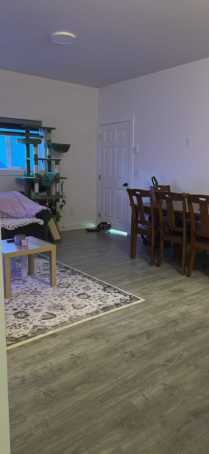 Photo of Seiko's room