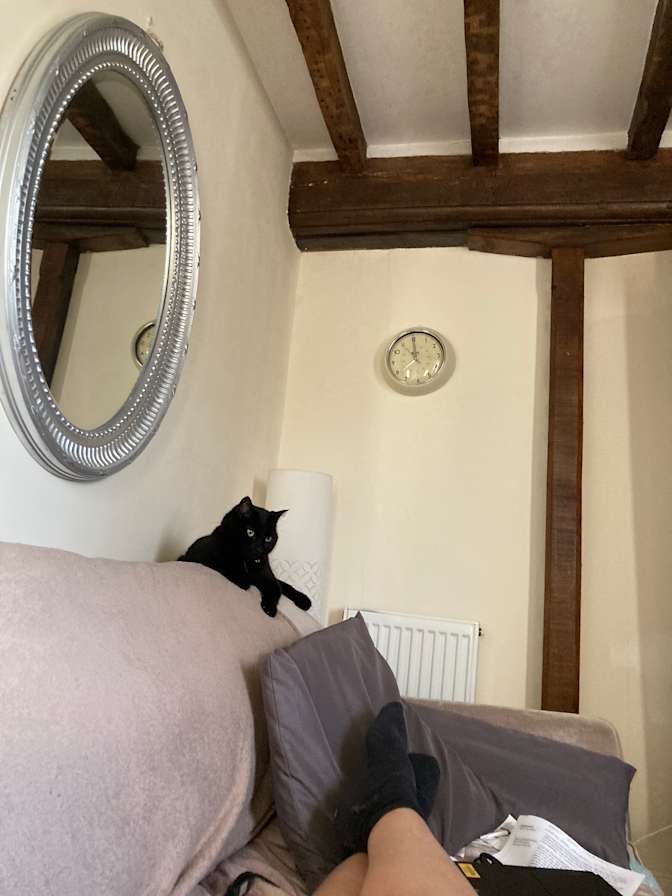 Photo of Sally's room