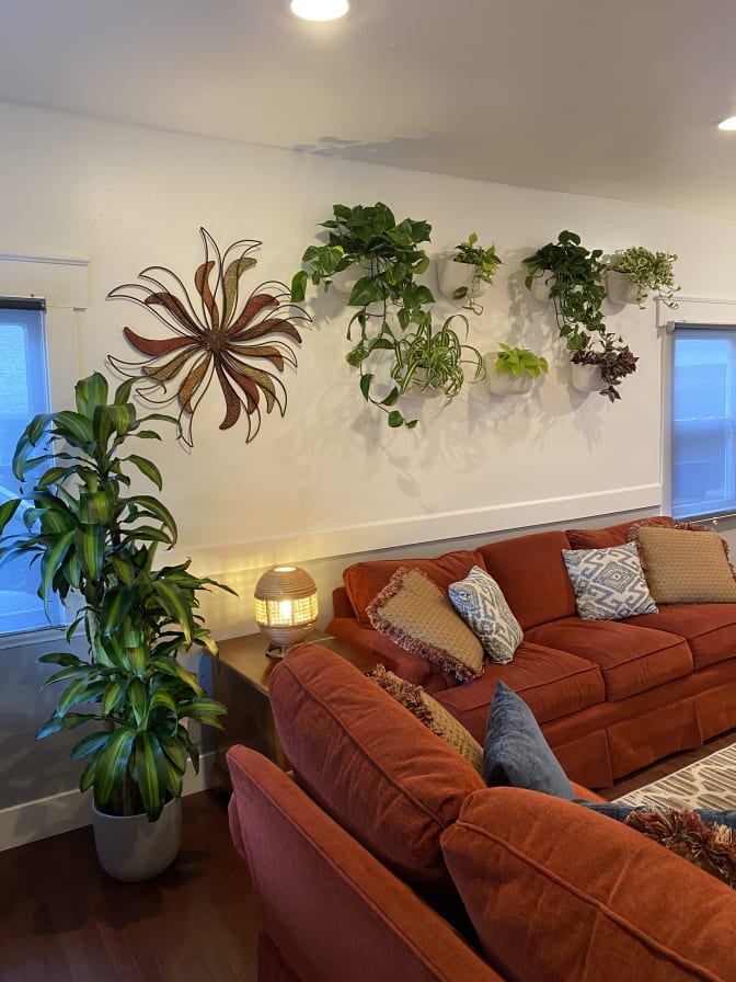 Photo of Jacinda's room