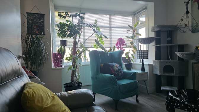 Photo of Sam's room