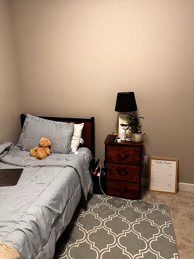 Photo of Dorsa's room