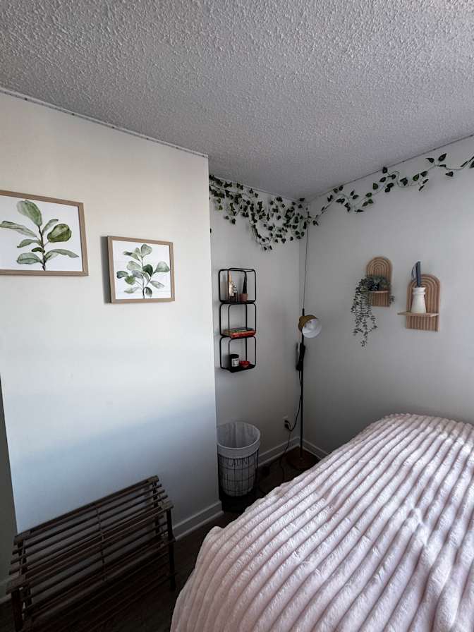 Photo of Aylár's room