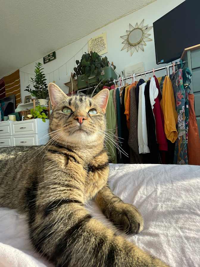 Photo of Alex's room