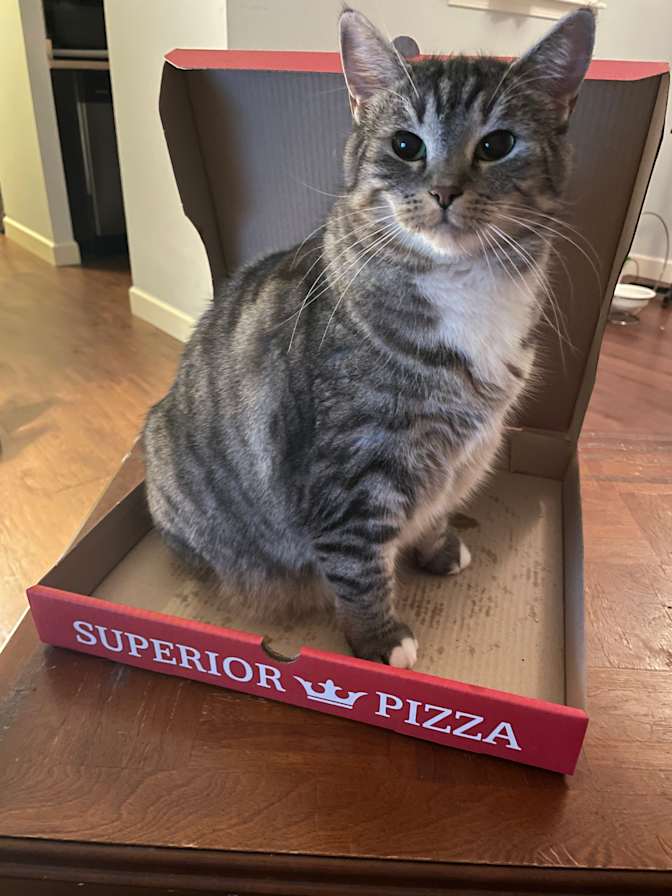 Photo of Brock's room