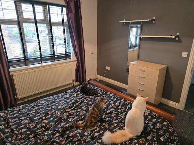 Photo of Robert's room