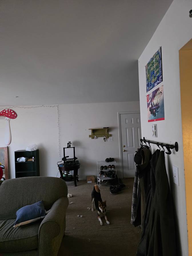 Photo of Avery's room