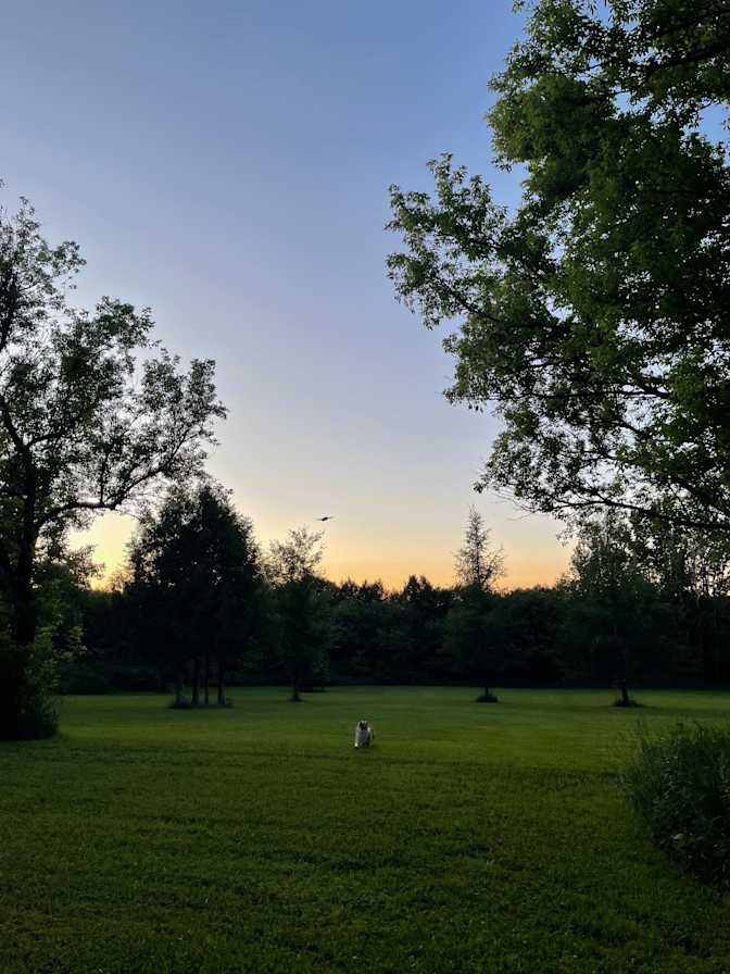 Mary Kay Sturm's room