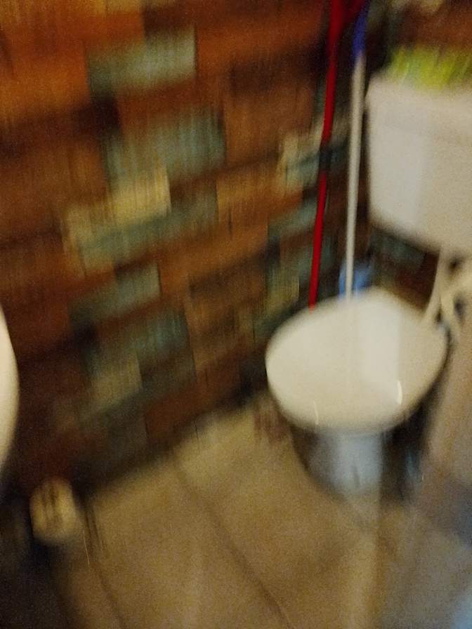 Photo of Synthiea Doolan's room