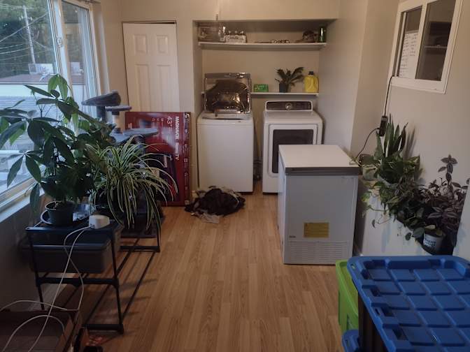 Photo of EliJah's room