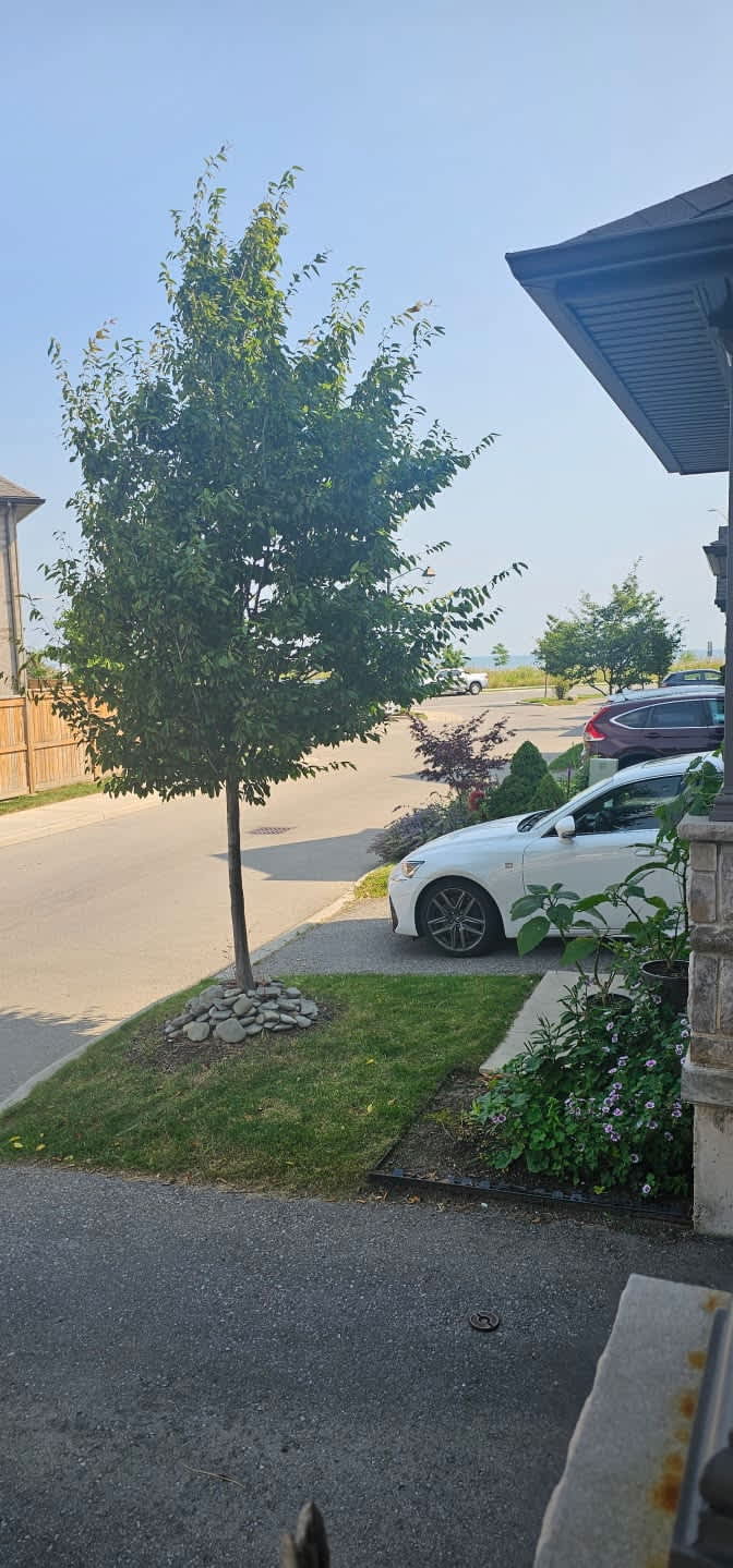 Photo of Yusuf's room