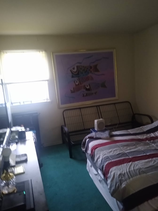 Photo of richard's room