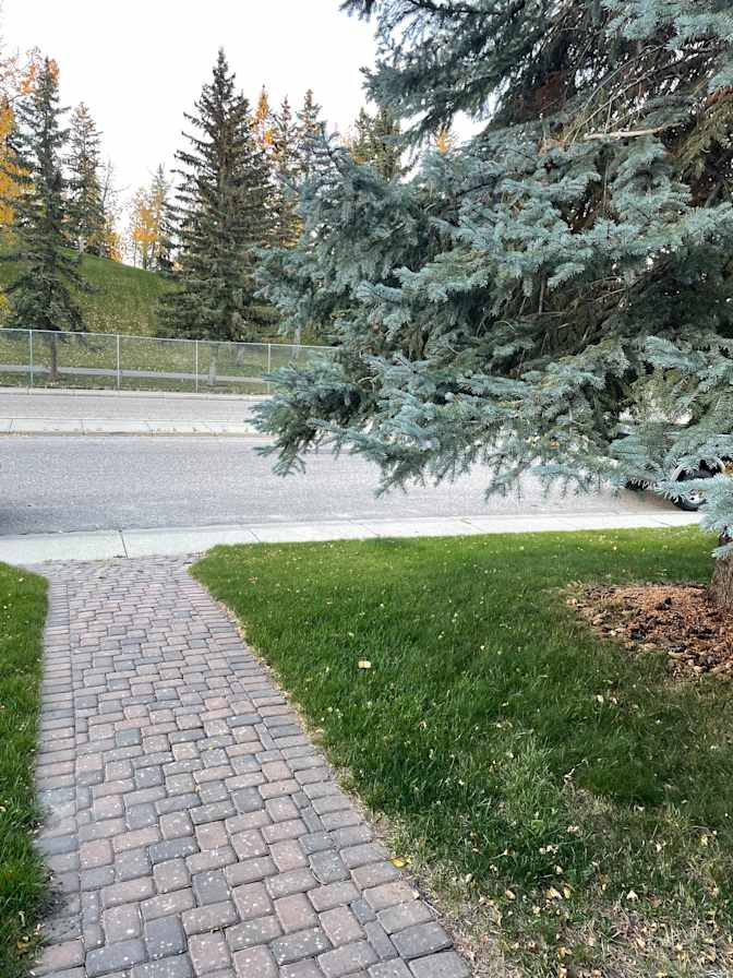 Greg Driedger's room