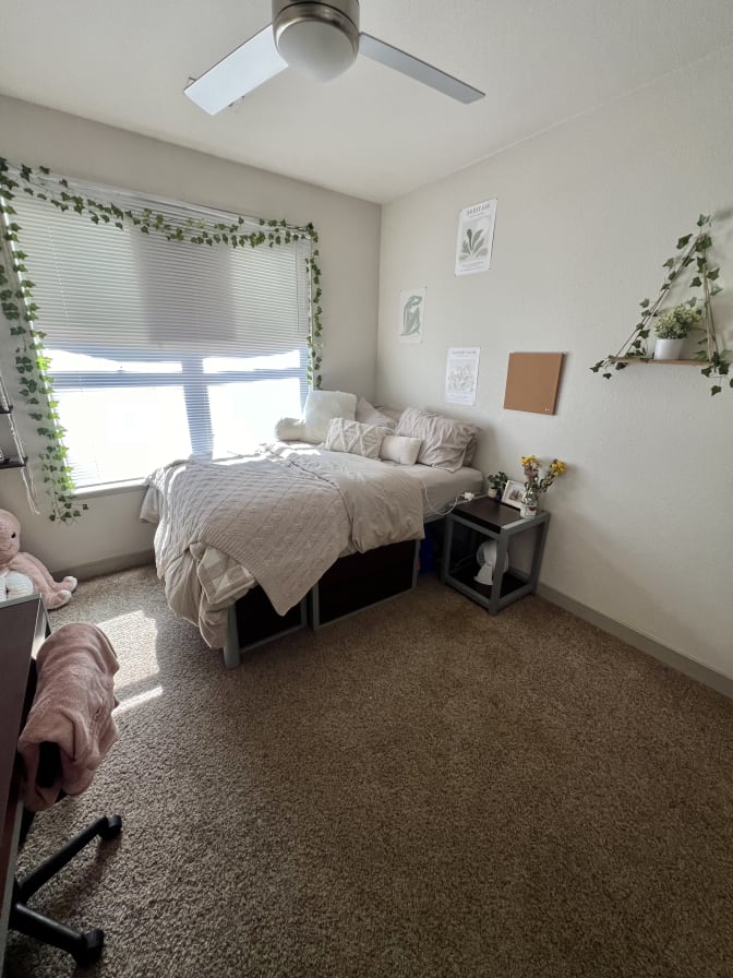 Photo of addie bush's room