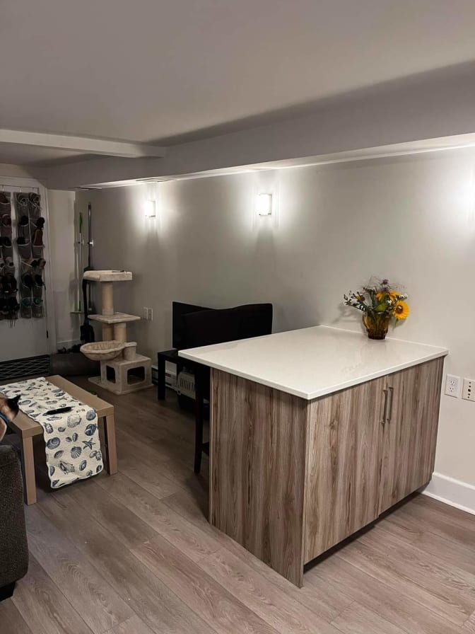 Chadya Bhatia's room