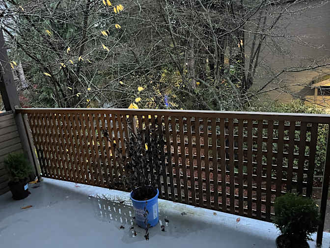 Photo of Leo Seppanen's room