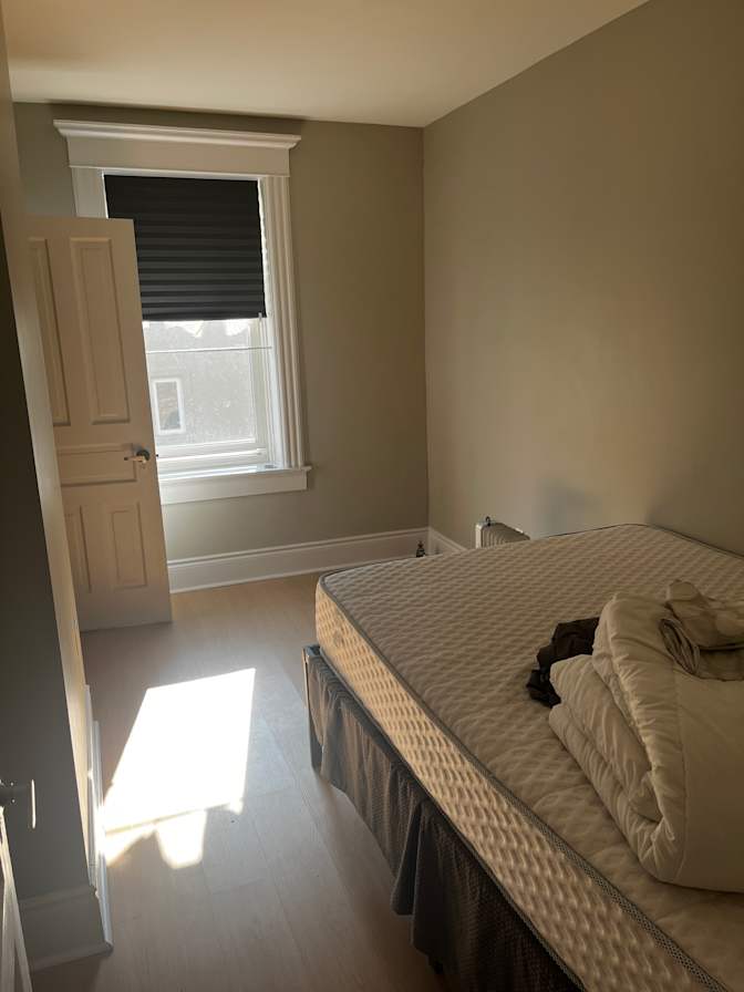 Selcuk Ozturk's room