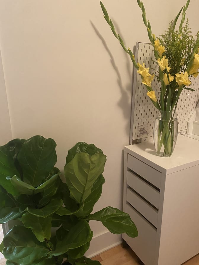 Photo of Faith's room