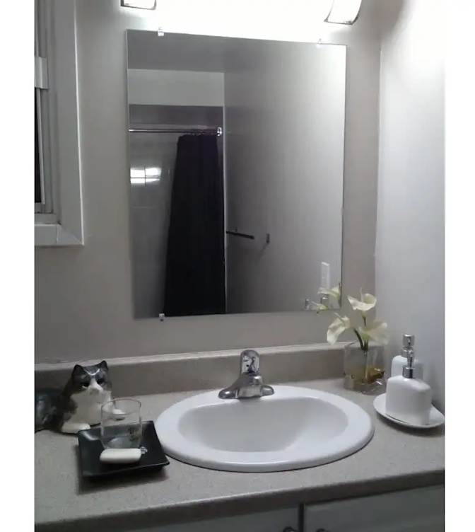 Photo of rmates's room