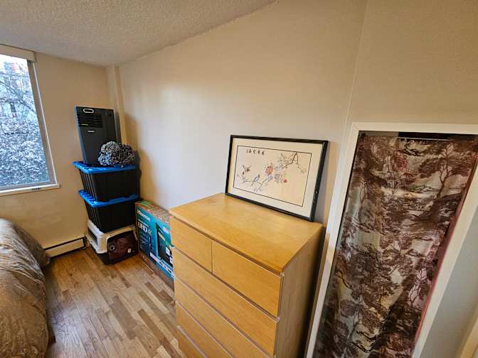 Photo of Colette's Micro-Lounge's room