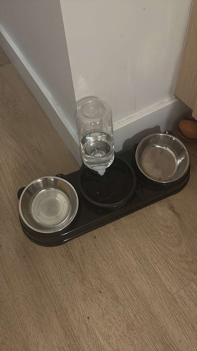 Photo of Ying's room