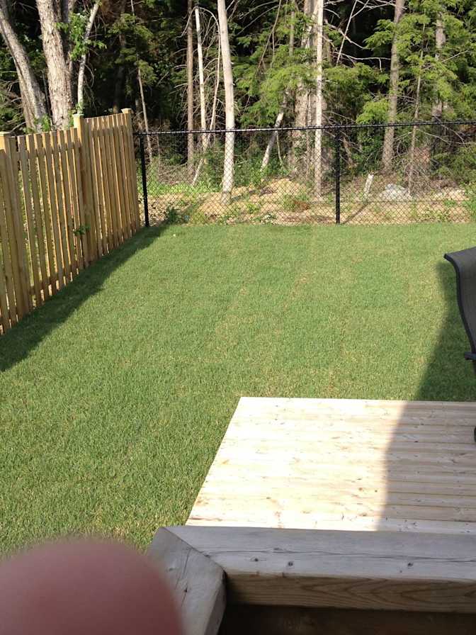 Photo of Robert's room