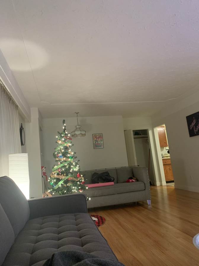 Photo of Paola's room