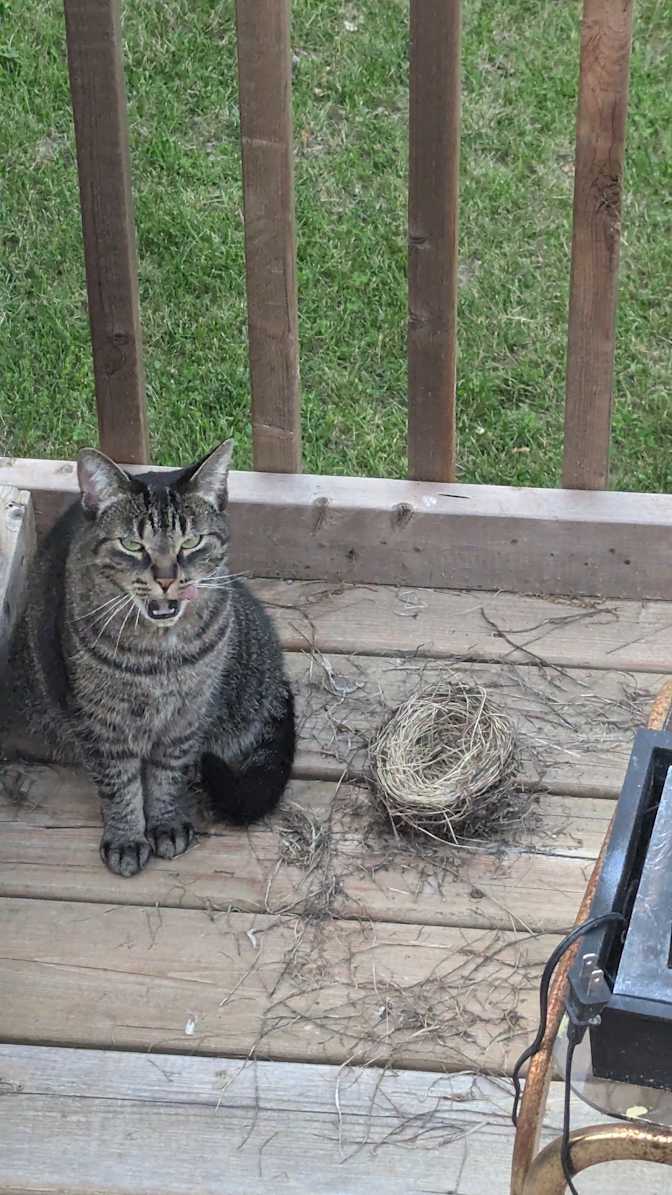 Alyshia Graham's room