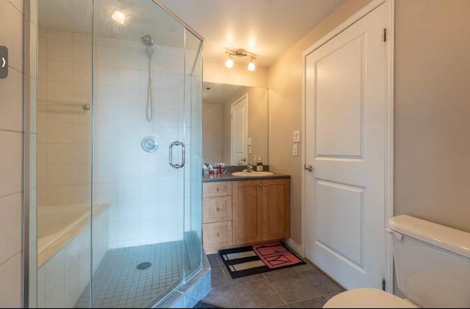 Anika Bahadur's room