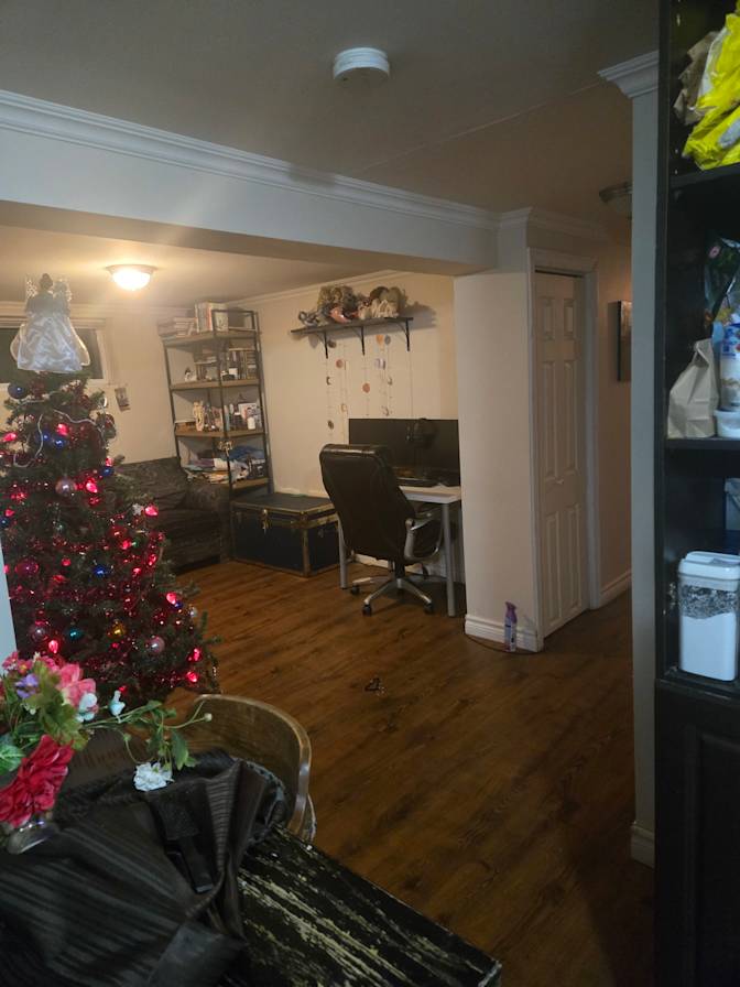 Photo of Erika's room
