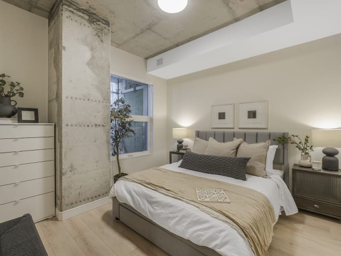 Photo of Napster's room