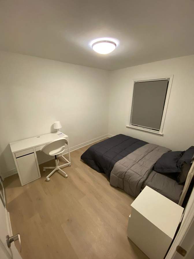 Meisam Rostaminia's room