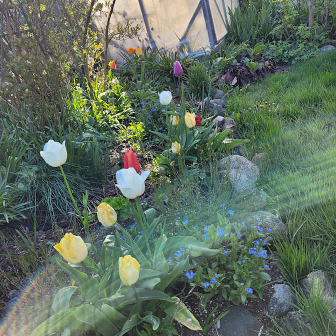 Photo of Fletch's room