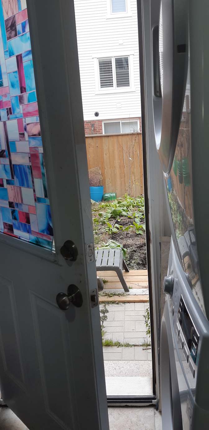 Photo of Shaheen's room