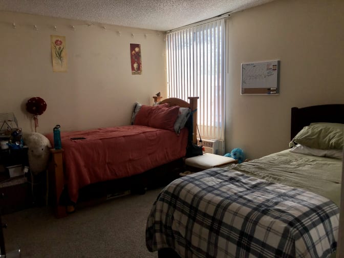 Photo of Jacqueline's room