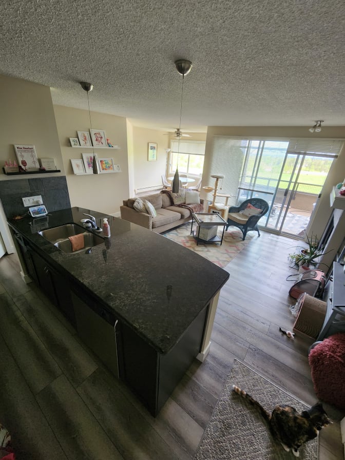 Lauren Vanderveen's room