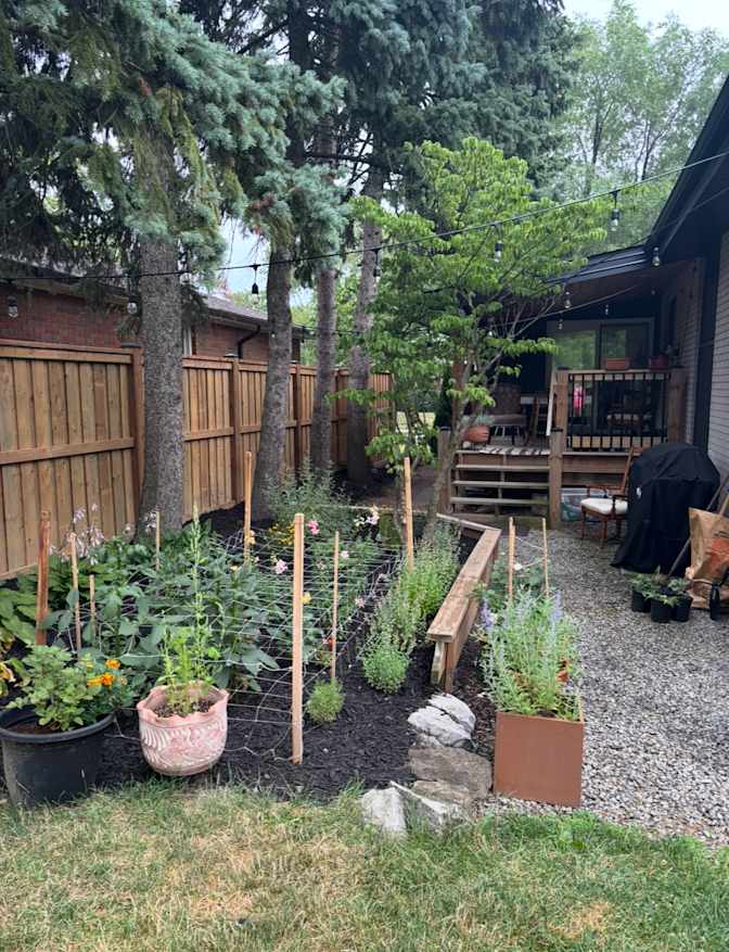 Photo of Michele's room