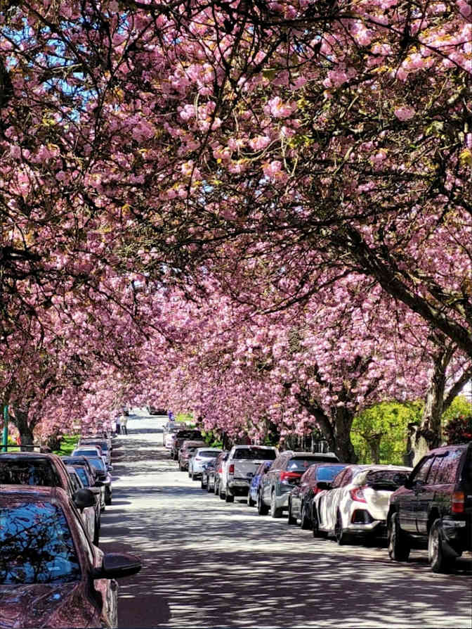 Photo of Danielle's room