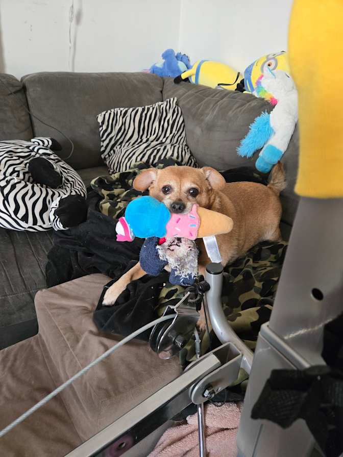 Photo of Cate's room