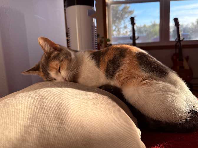 Photo of miah's room