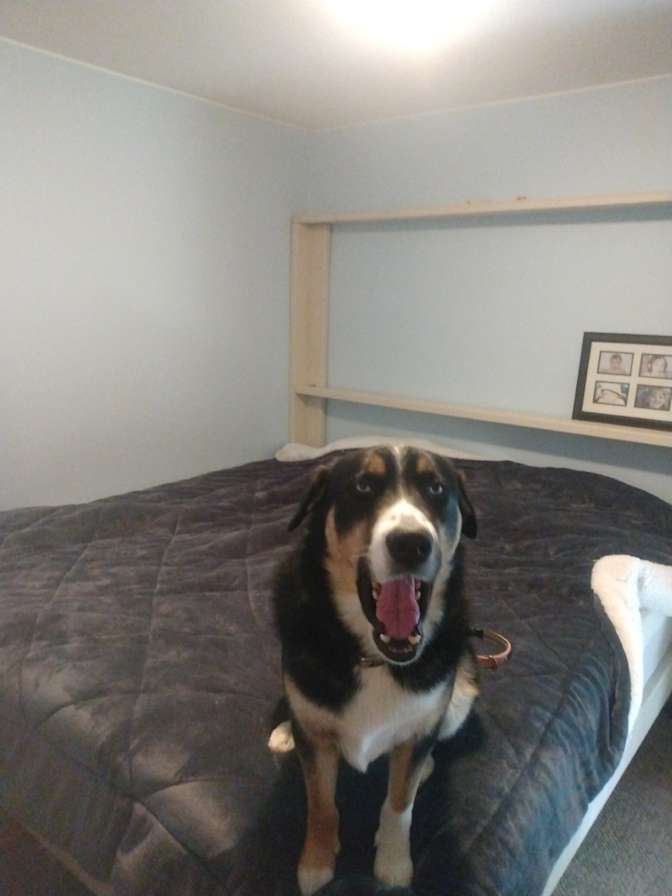 Photo of Stan Murphy's room