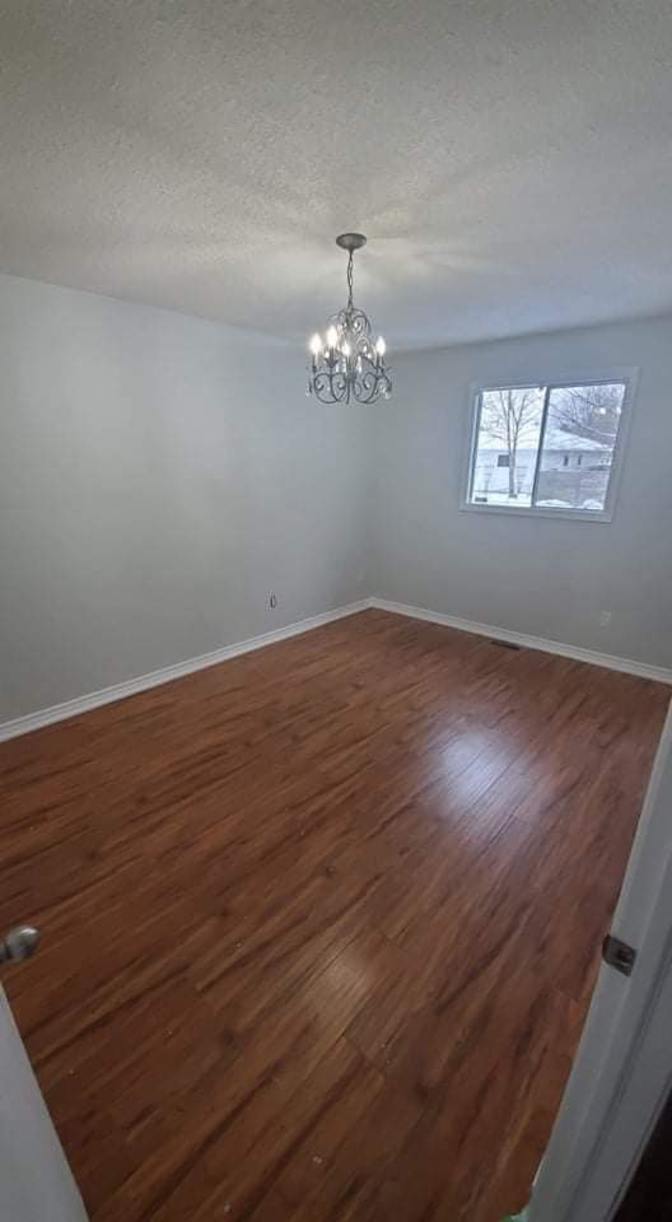 Photo of Alison's room