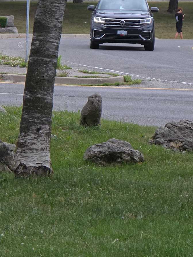 Wendy cancelli's room