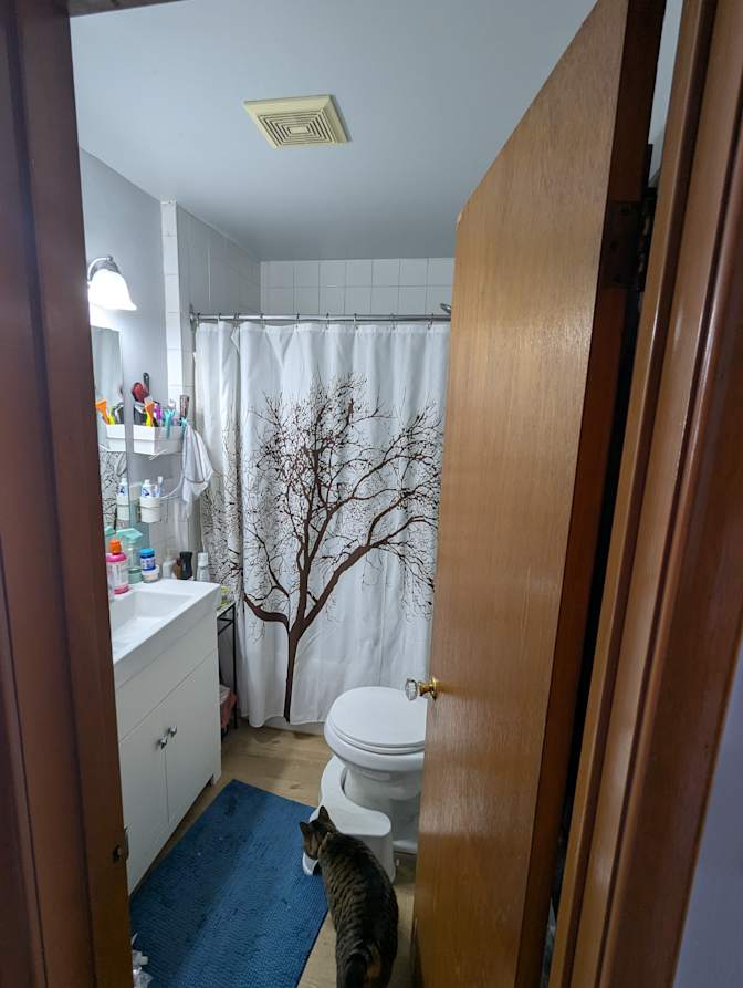 Jack Browne Camara's room