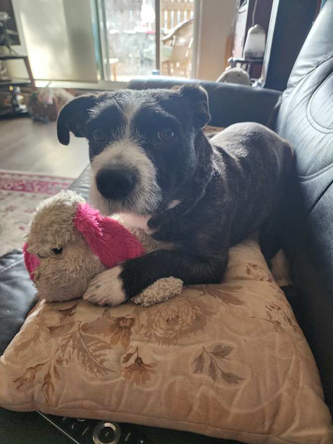 Photo of Barbara's room