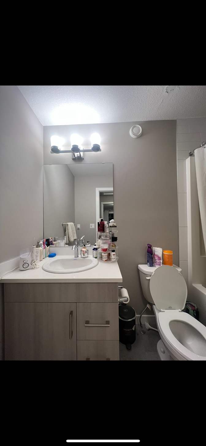 Photo of Dorsa's room