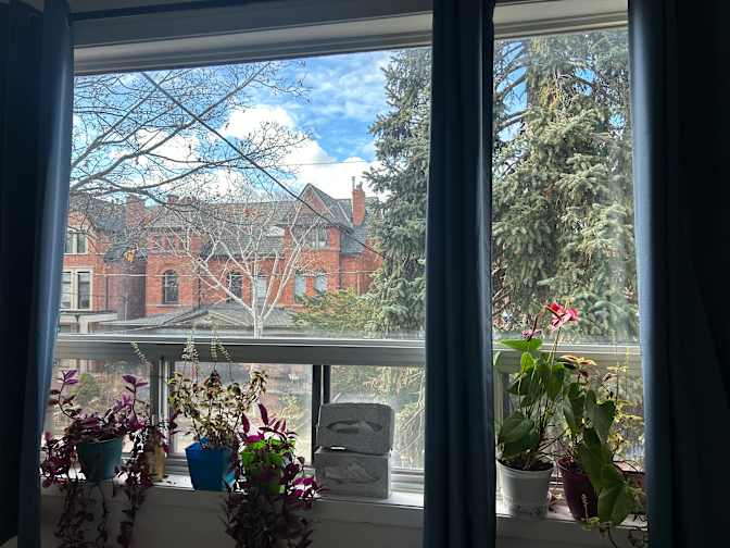 Divya Kanumuri's room