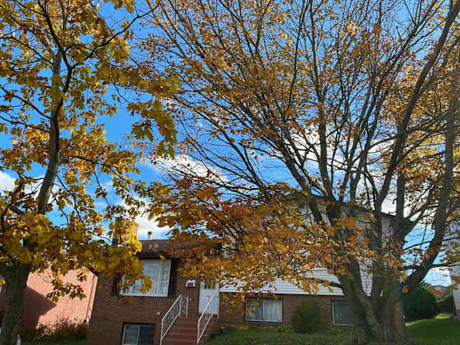 fengjiao hong's room