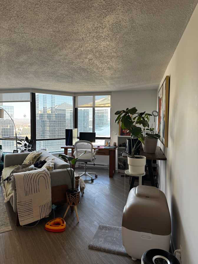 Photo of Aylár's room