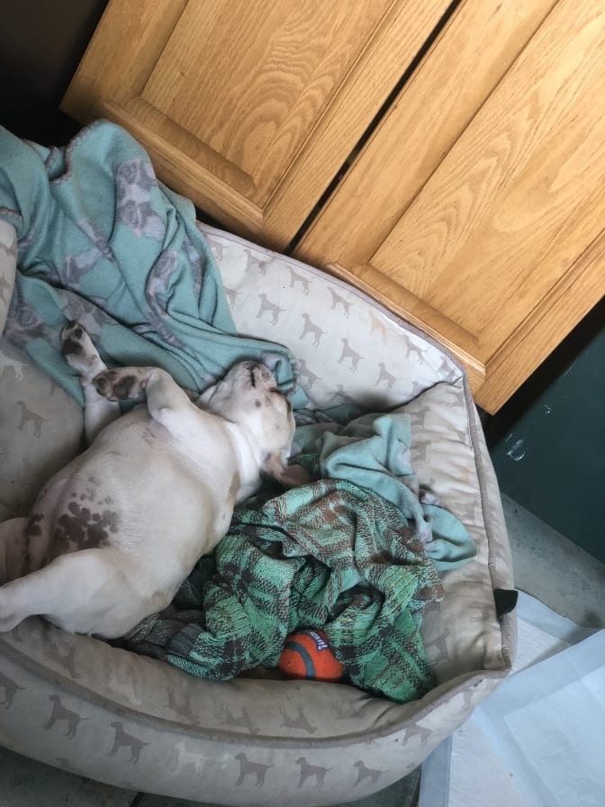 Cherryl Smith's room