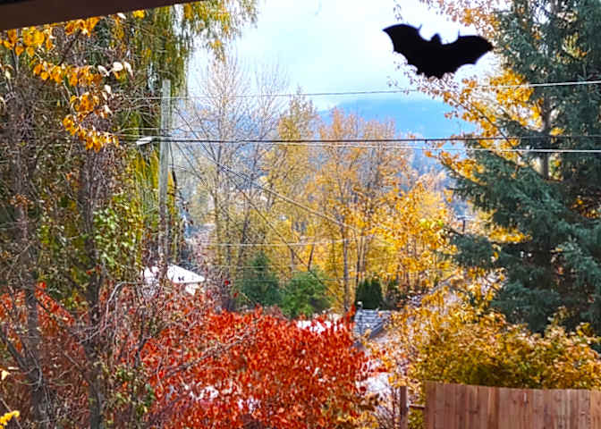 Photo of sheila's room